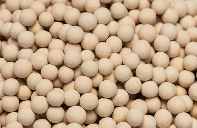 Inpat Molecular Sieve